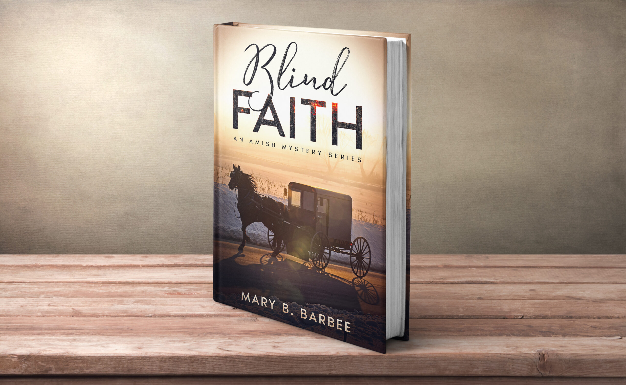 Mary B. Barbee ~ Mystery Novelist